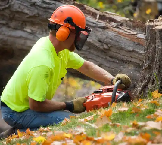 tree services Twin Lake